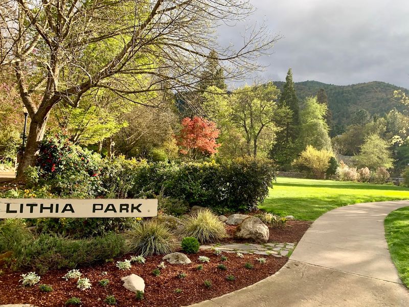 Why Ashland Stays With You