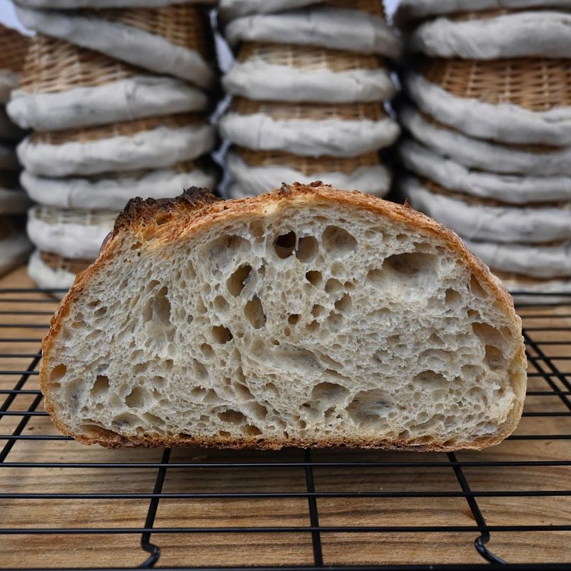 The Sourdough That Started Everything