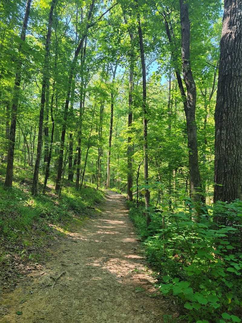 Yellow Trail (Foothills Trail)