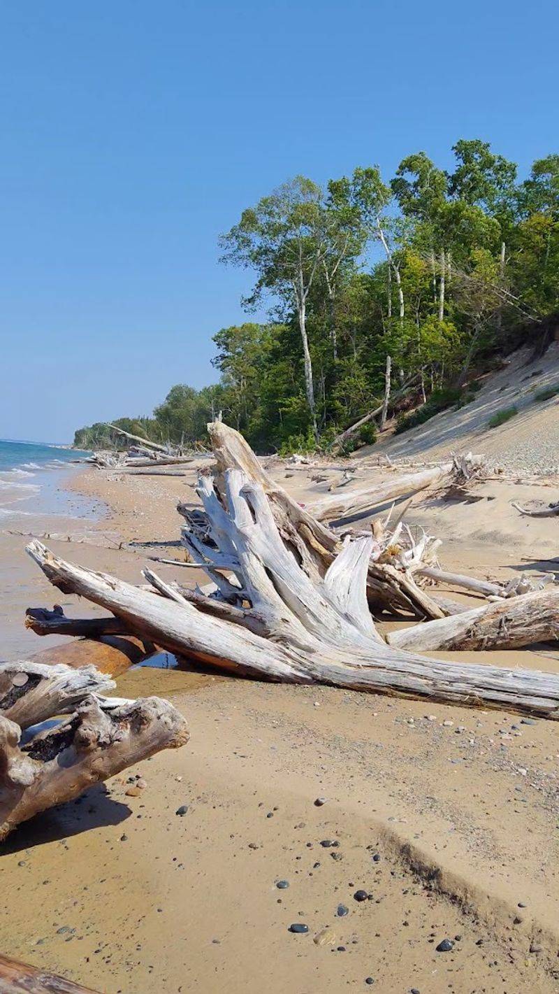 These 10 Michigan Beaches Are Made For Finding Petoskey Stones And Yooperlites - Decor Hint Muskallonge Lake State Park, Newberry