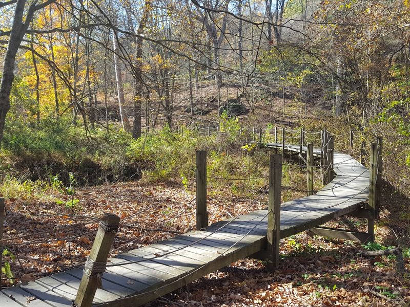 Trails Through Meadows And Woods