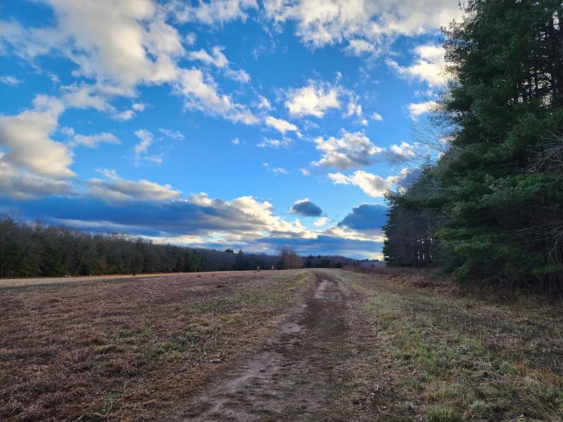 Trails That Feel Calm And Easy