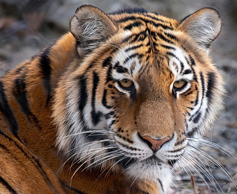 Animals And Exhibits Worth Seeing First