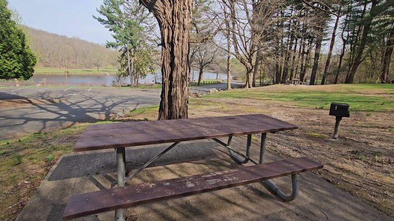 Picnic Space For Groups