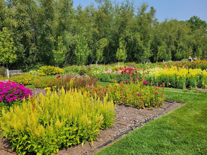 One Hidden Ohio Destination Looks Like Something From A Dream - Decor Hint Planning Your Visit To This Destination