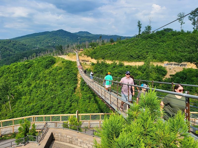 The Sky Lift Park Experience Above The Treetops