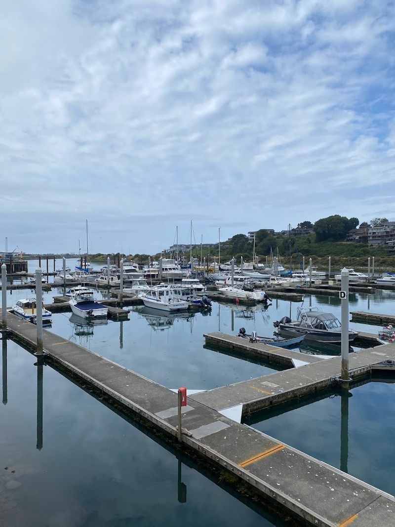 This Oregon Seafood Shack Looks Simple, But Its Clam Chowder Has A Serious Following - Decor Hint The Brookings Harbor Scene Worth Knowing