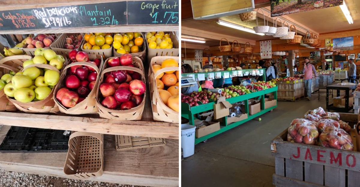 Why These 8 Georgia Amish And Mennonite Markets Are Worth Planning A Special Trip For - Decor Hint