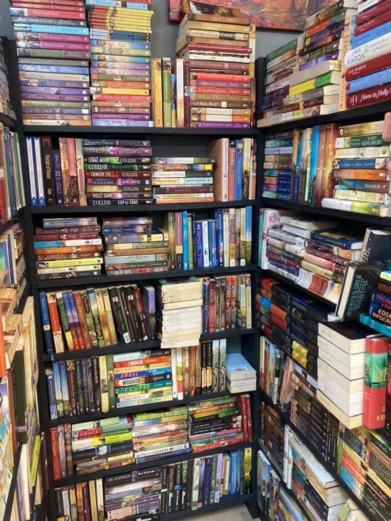 This Florida Bookstore Turns Old Books Into New Favorites Waiting To Be Discovered - Decor Hint Why Used Books Have A Magic New Books Simply Cannot Match