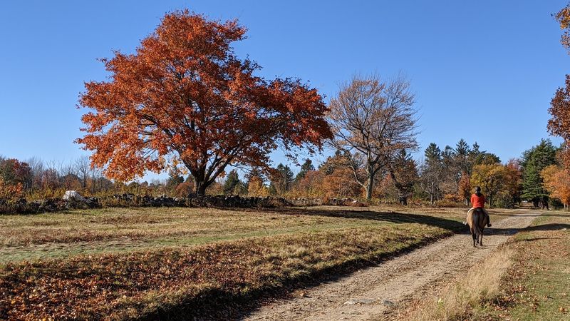 Topsmead State Forest, Litchfield 