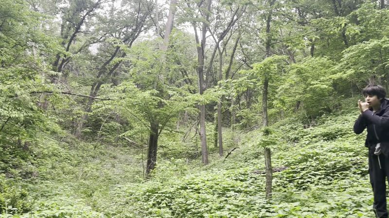 Nebraska Wildlife Spots Where Bison, Elk, And Other Big Animals Are Easy To See - Decor Hint Ponca State Park, Ponca