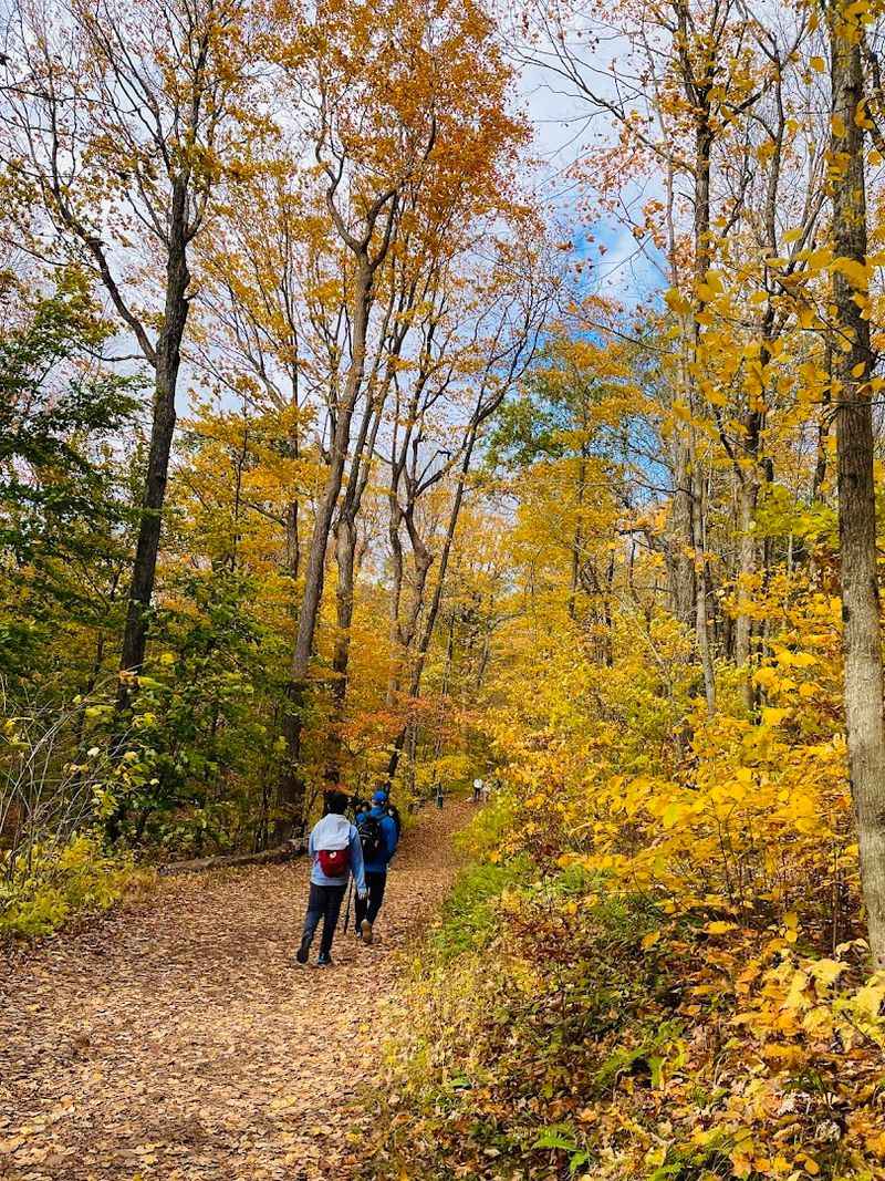 The Trail Conditions And What To Bring