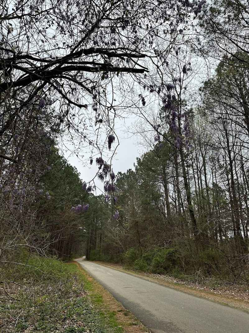 A Mostly Flat Route That Welcomes All Fitness Levels