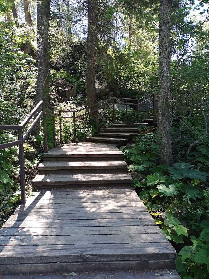 Hiking Options Near The Falls