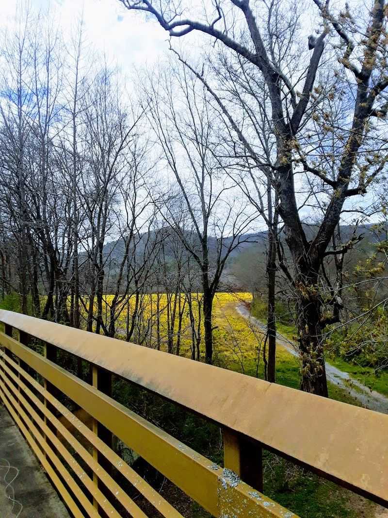 Best Times To Ride And Seasonal Tips