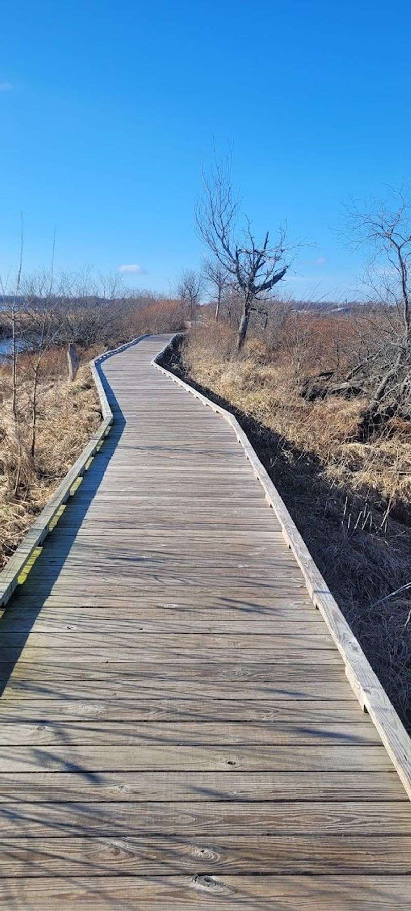The Viewing Deck That Stops You Cold