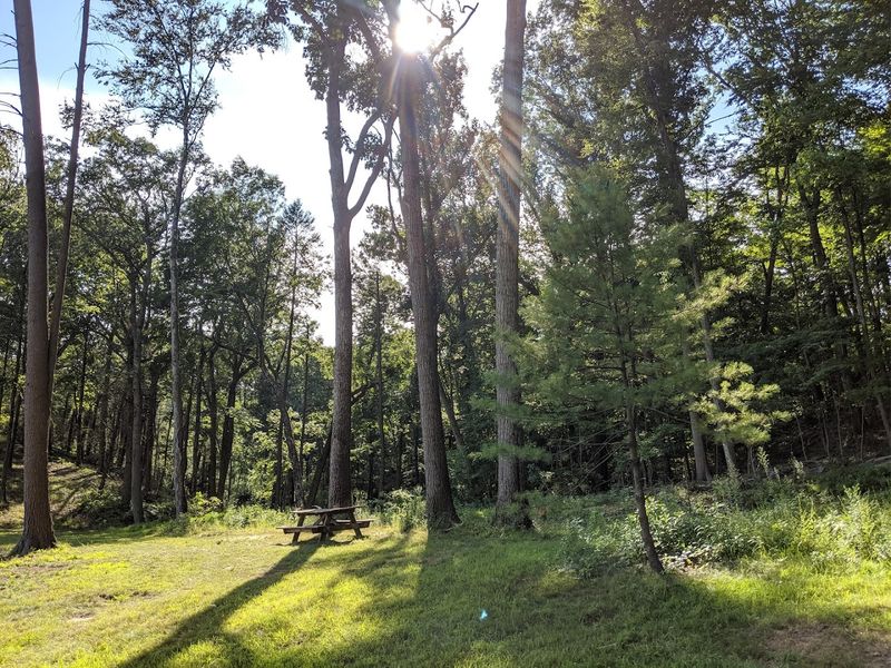Picnic Areas And Practical Visitor Comforts
