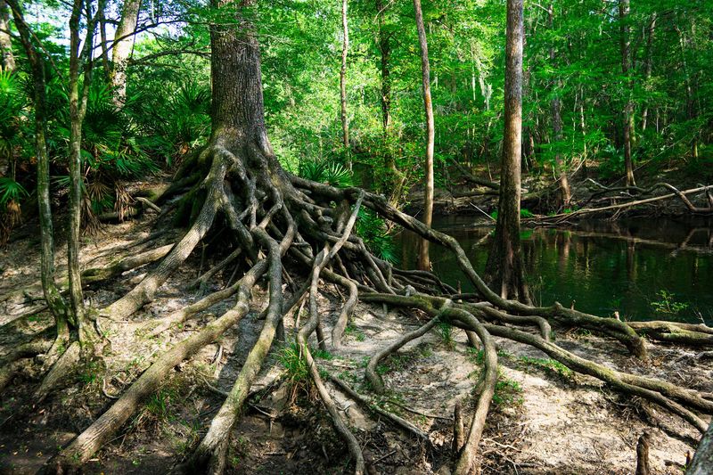 Diverse Ecosystems That Change With Every Quarter Mile