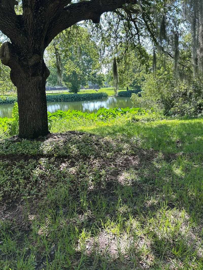 Shade That Actually Makes A Difference In The Georgia Heat