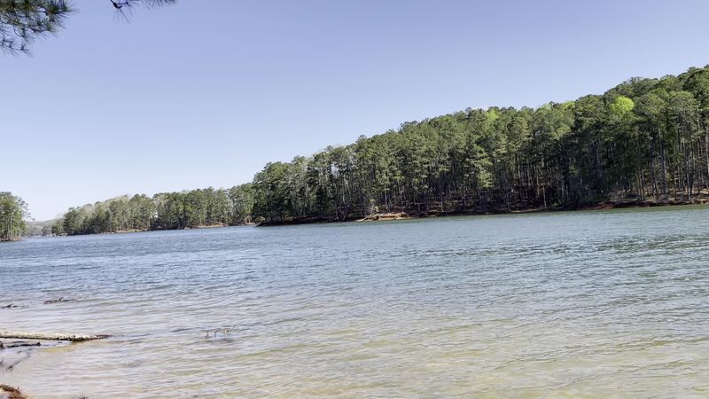 Picnic Spots With Peaceful Waterfront Atmosphere