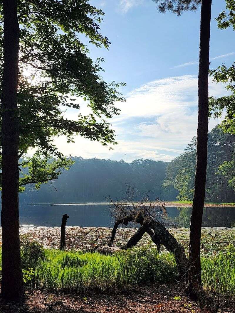 Ranger Programs And Park History