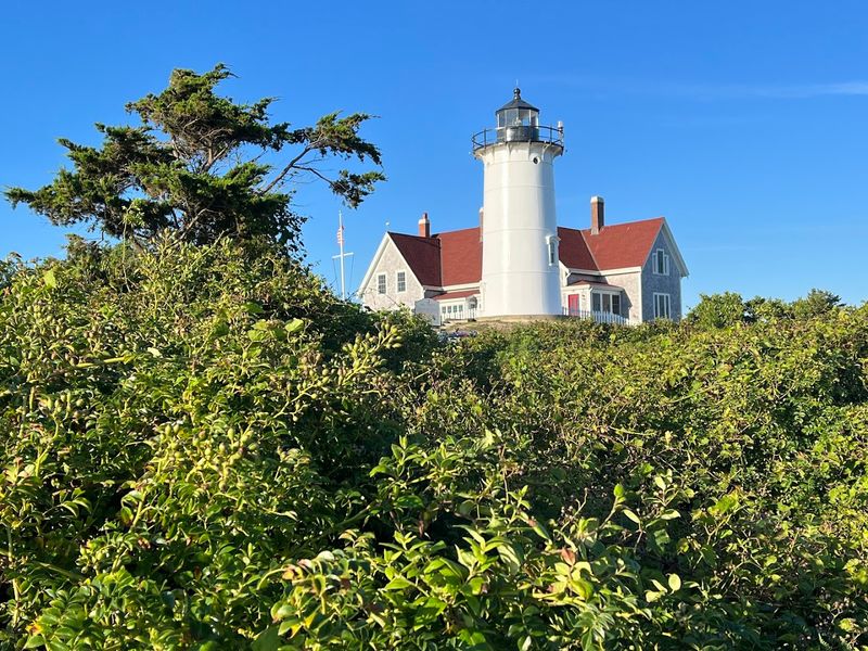 Coastal Views That Make You Stop Pedaling