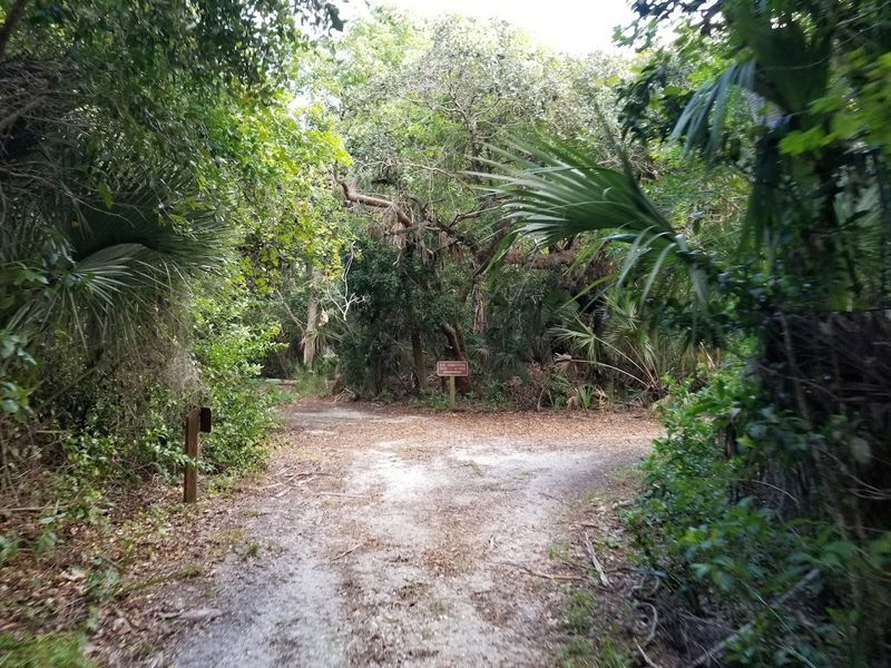 Trails Through Pine Forests And Mangrove Tunnels