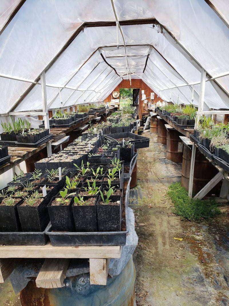 Community Roots And Local Connection