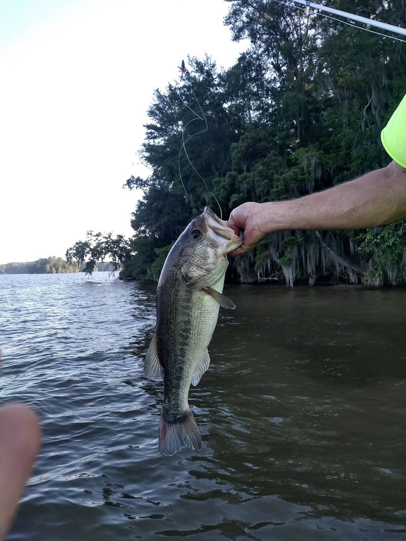 Fishing Here Is A Serious Affair