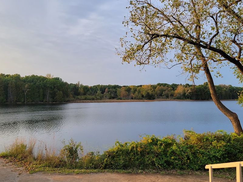 This Scenic Michigan Boardwalk Feels Like A Walk Through Another World - Decor Hint The Lewis E. Wint Nature Center And Educational Programs