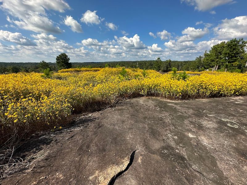 The Arabia Mountain Heritage Area Visitor Center