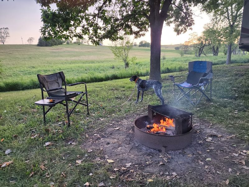 Saturday Evening Buffalo Cookouts That Give The Park A Local Flavor