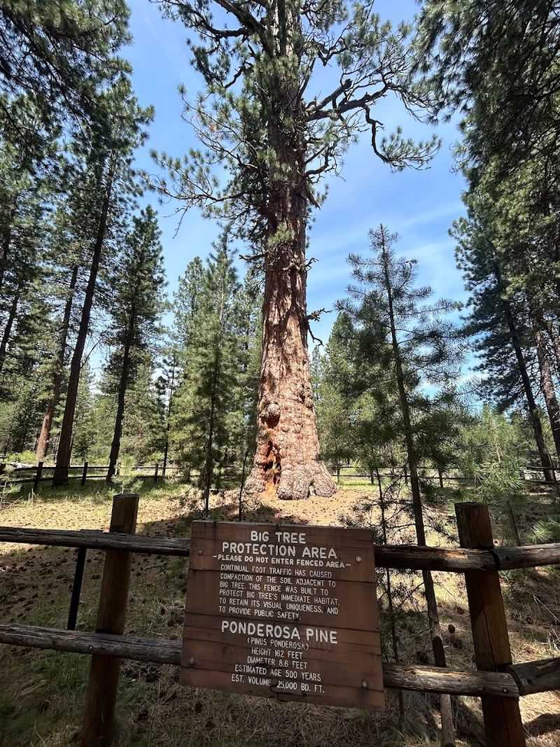La Pine State Park