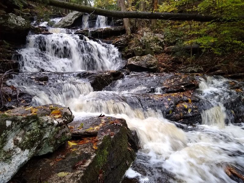 9 Connecticut Rivers Worth Visiting For A Peaceful Summer Escape - Decor Hint Salmon River State Forest, Colchester
