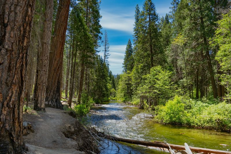12 Hidden California Swimming Spots That Make Summer Feel Like A Secret Escape - Decor Hint Carlon Falls, near Groveland
