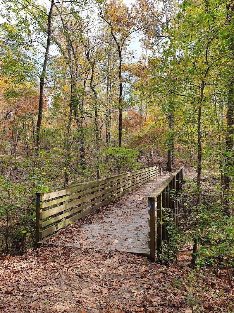 Dog-Friendly Trails That Pets Actually Love