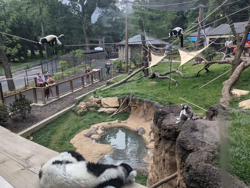 Brandywine Zoo, Wilmington