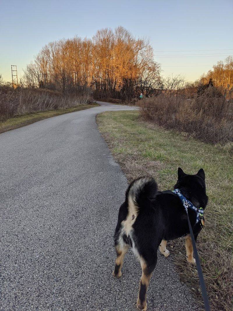 Schuylkill River Trail At Pawling Farm, King Of Prussia