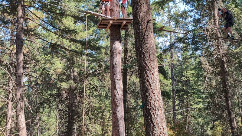 Tarzan Swings Bring Out Everyone's Inner Daredevil