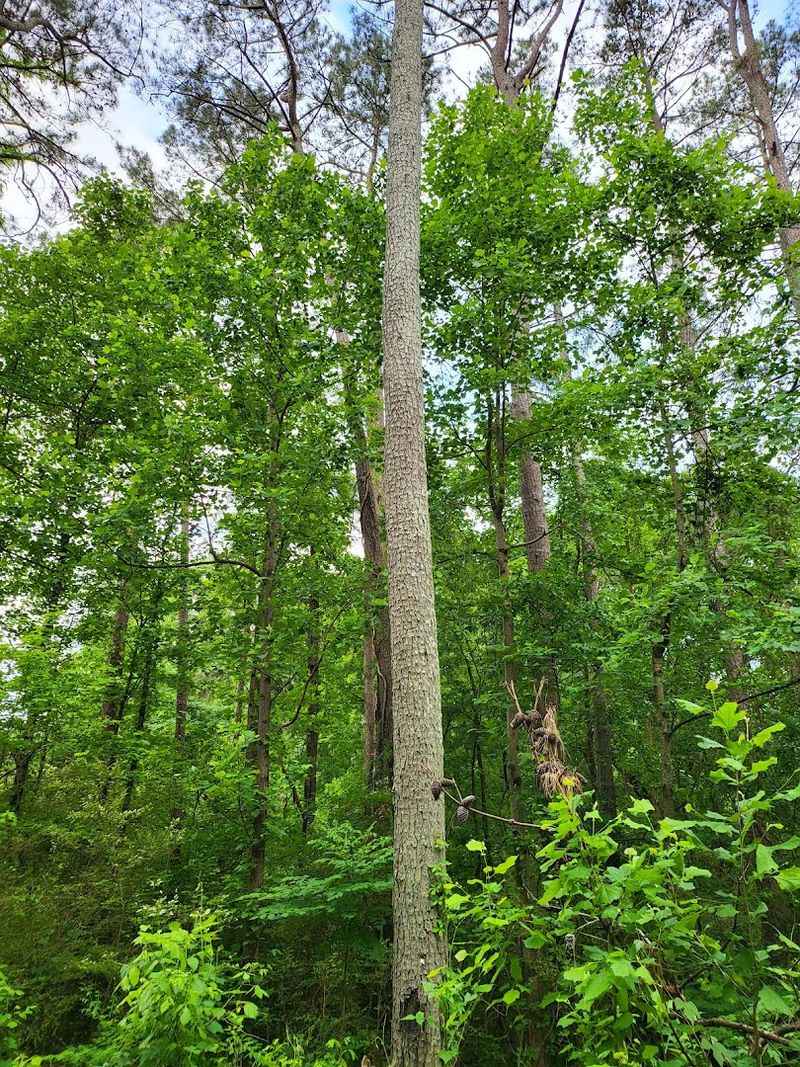 A Multi-Use Trail That Welcomes Everyone