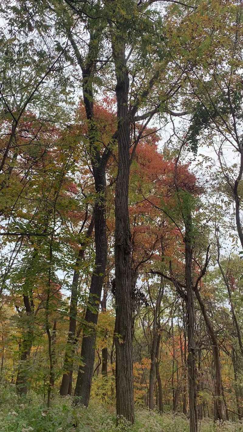 These 14 Kentucky Birdwatching Destinations Feel Like Hidden Front-Row Seats To Nature - Decor Hint Louisville Nature Center