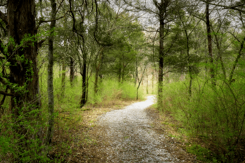 Dupree Nature Preserve