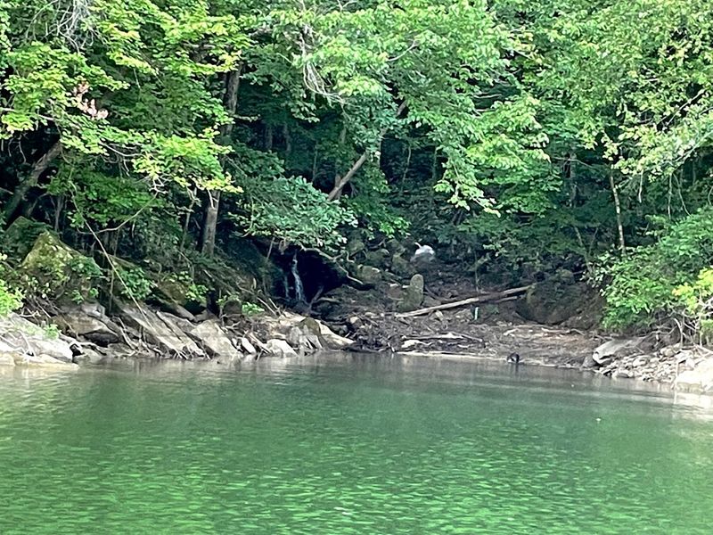 Goat Island is exactly what it sounds like