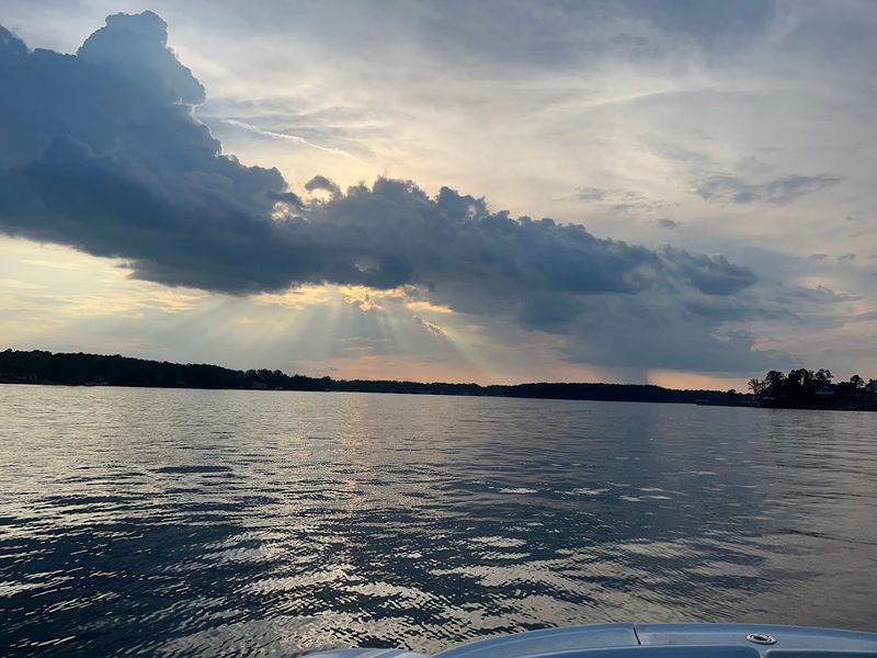 Swimming In Clean, Clear Lake Water