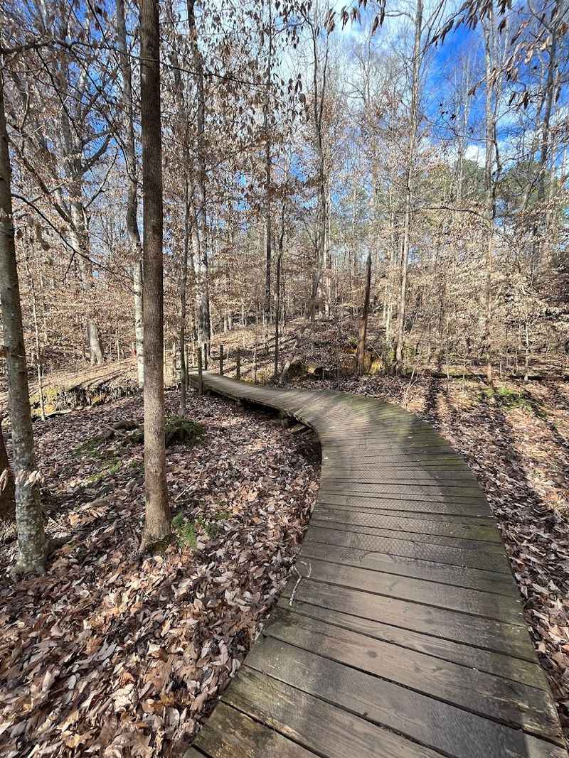 The Rubberized Flow Trail That Runners And Families Love