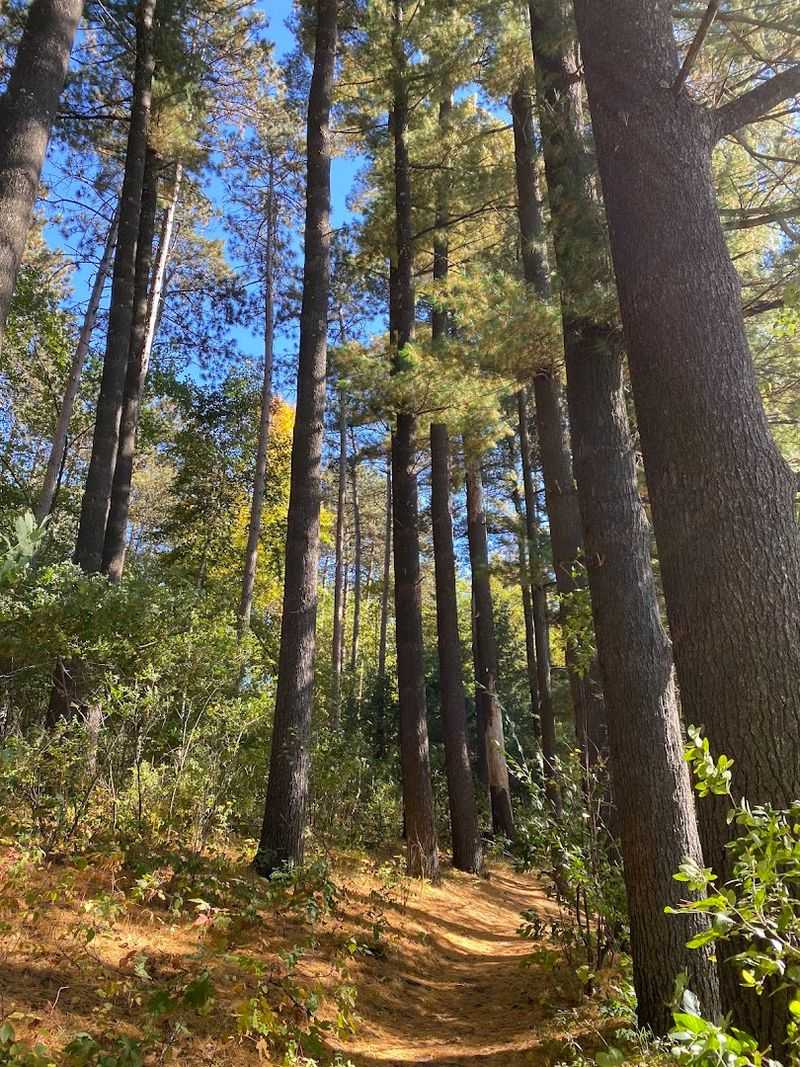There Are 10 Beautiful State Parks In Wisconsin Deserve A Closer Look - Decor Hint Hartman Creek State Park, Waupaca