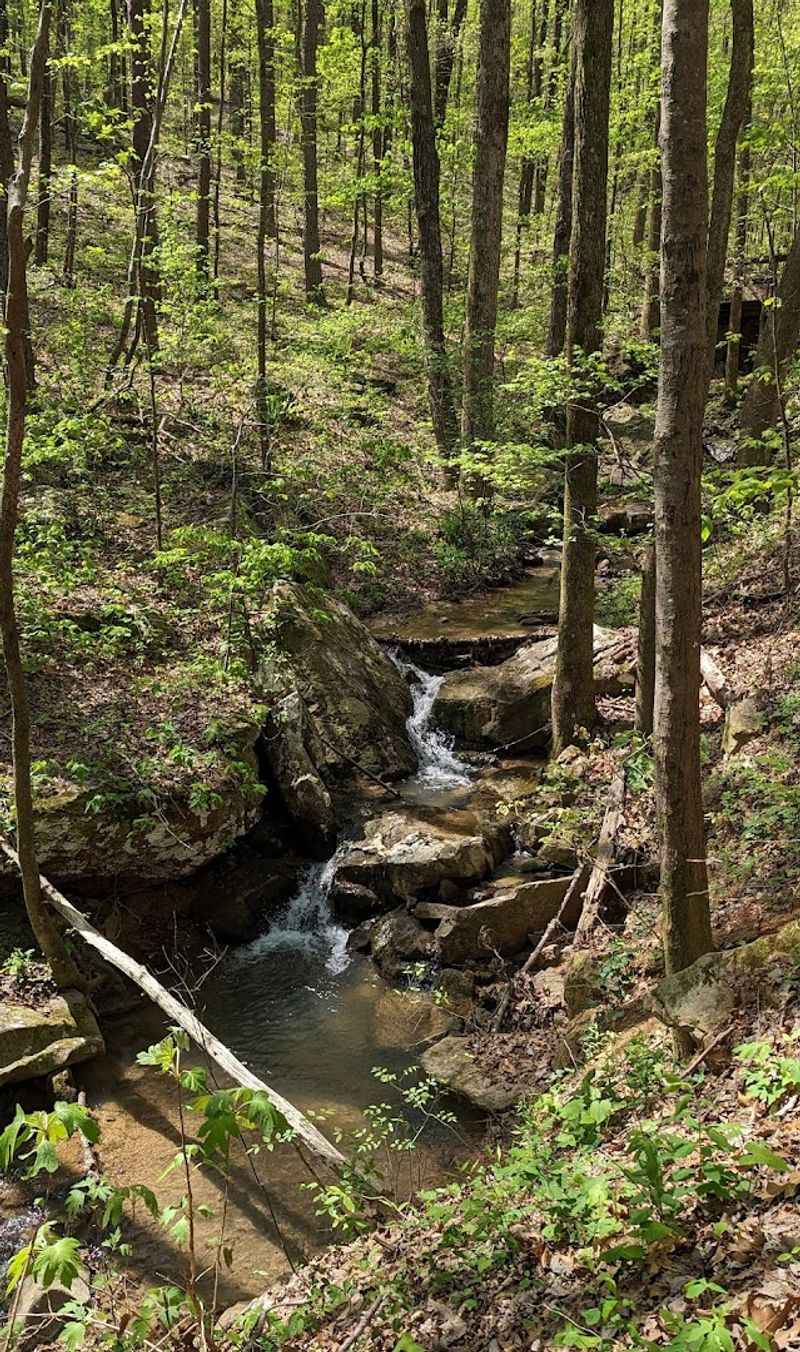 Green Trail (Peavine Falls Trail)