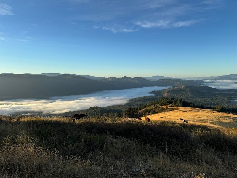 A Ranch With Deep Roots