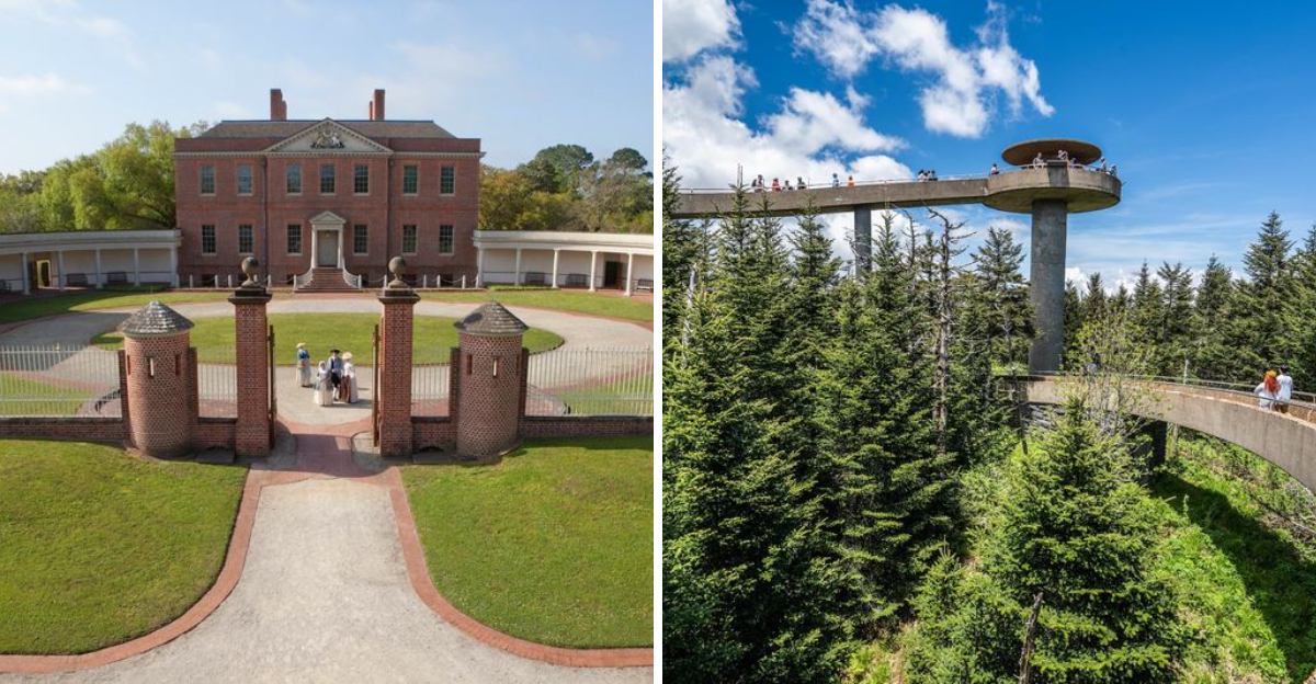 You Can Take These 9 North Carolina Road Trips Without Draining The Wallet - Decor Hint