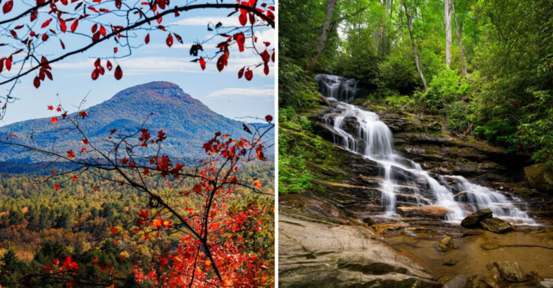 You Don’t Have To Be A Serious Hiker To Love These 13 Simple Georgia Trails Under 5 Miles